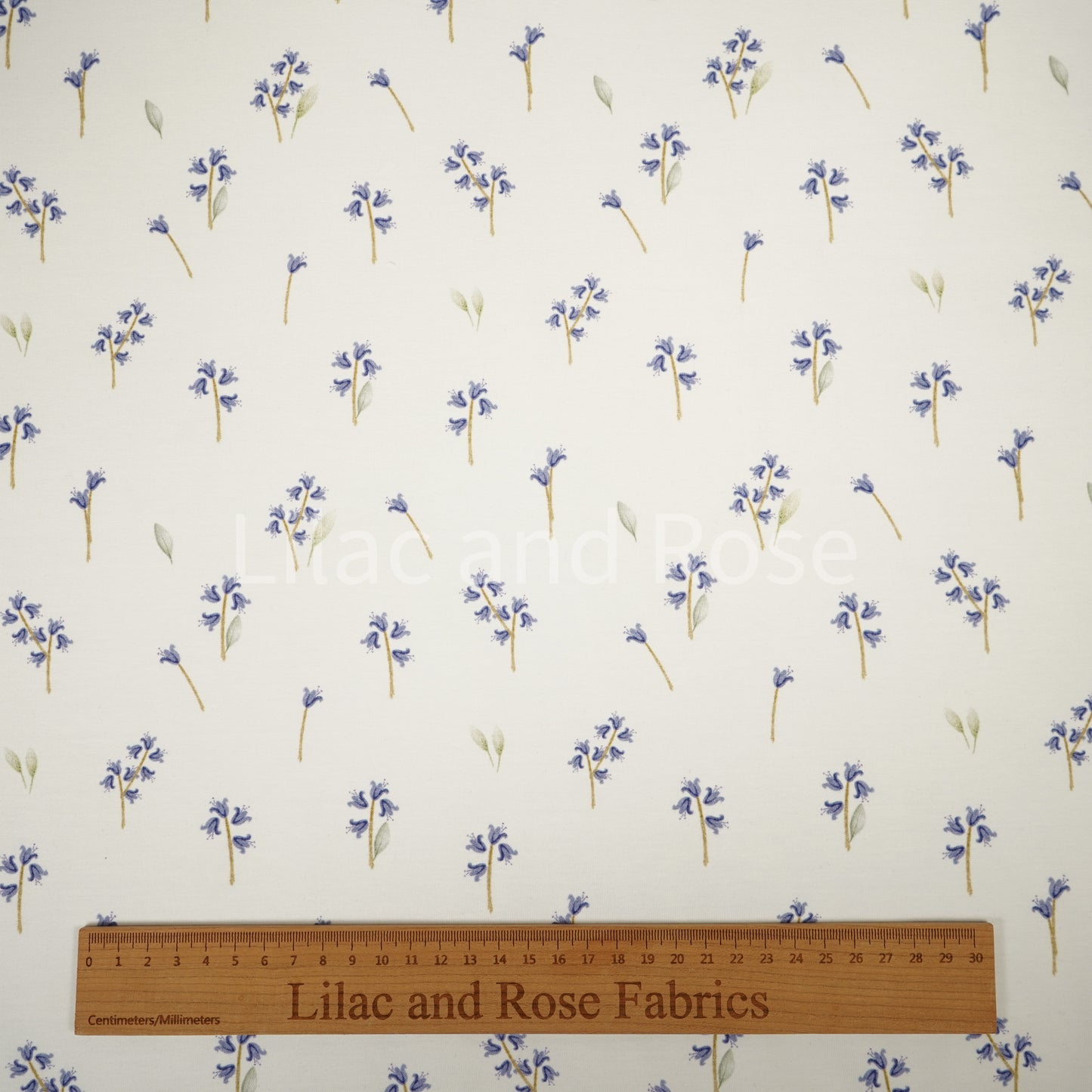 Cotton Jersey 240gsm - Bluebells in White