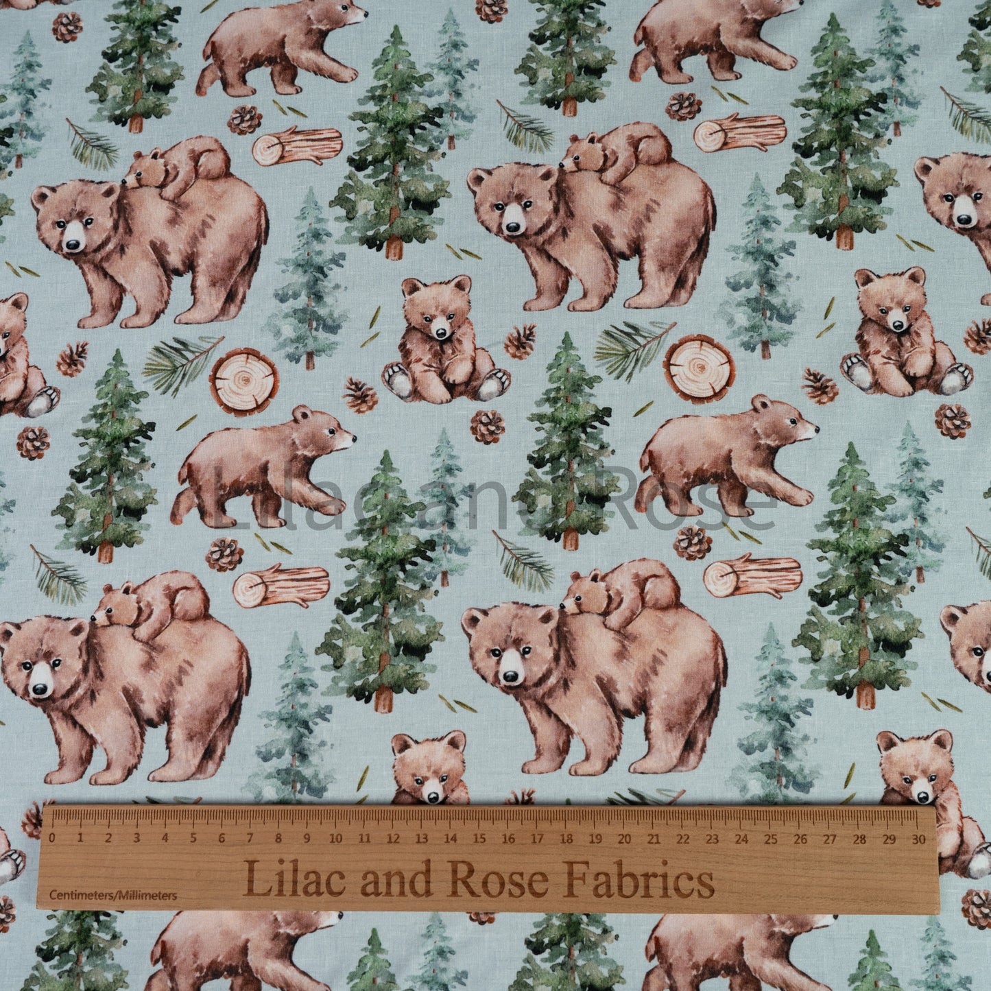 Cotton Jersey - Bear Cubs in Mint (Exclusive)