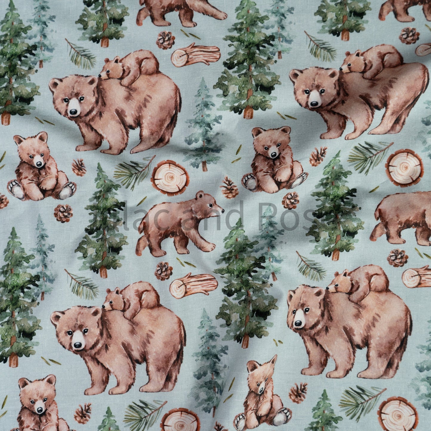 Cotton Jersey - Bear Cubs in Mint (Exclusive)