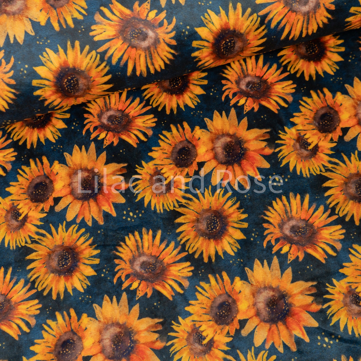 Squish - Sunflowers on Navy