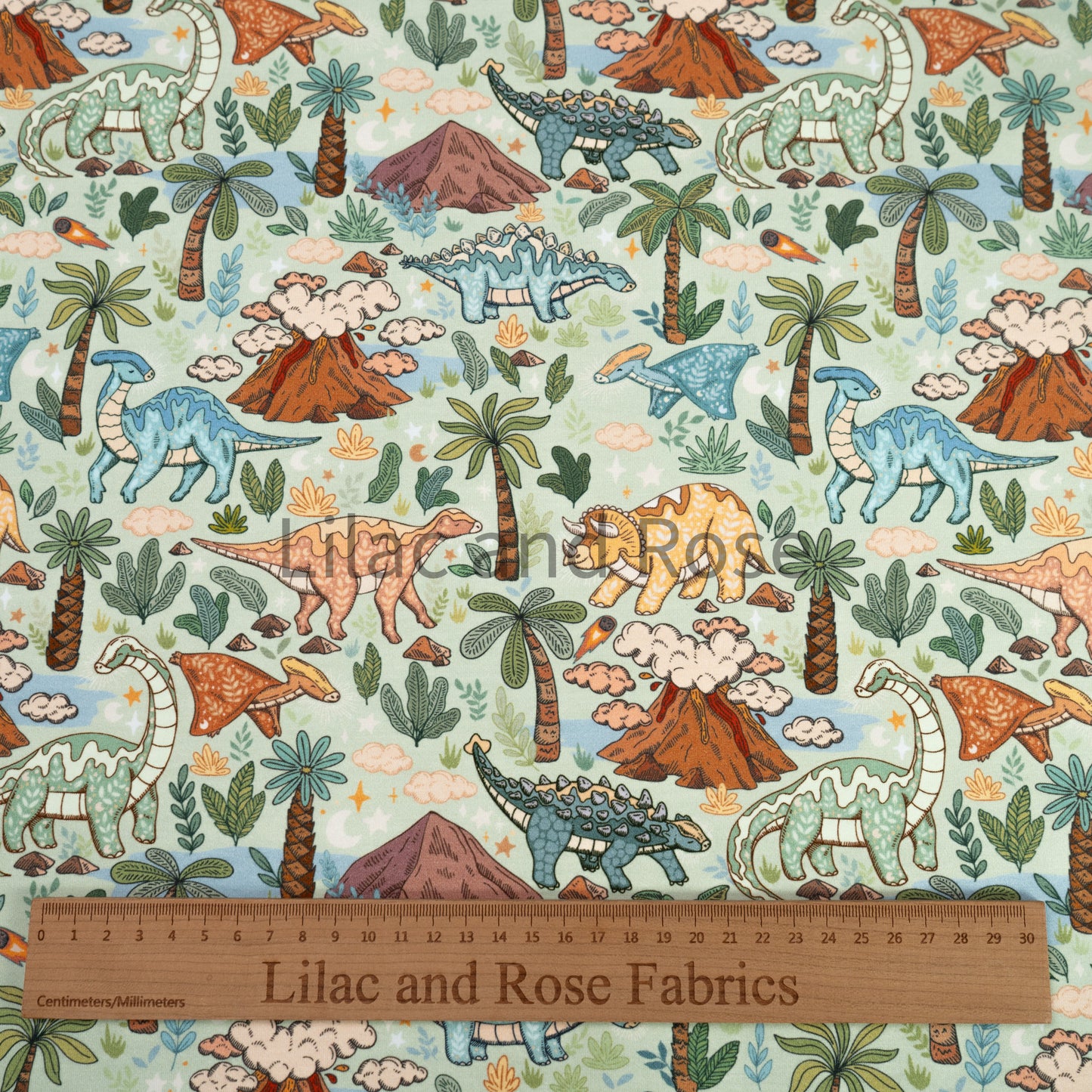 Cotton Jersey - Happy Dinos - Sage (Exclusive)