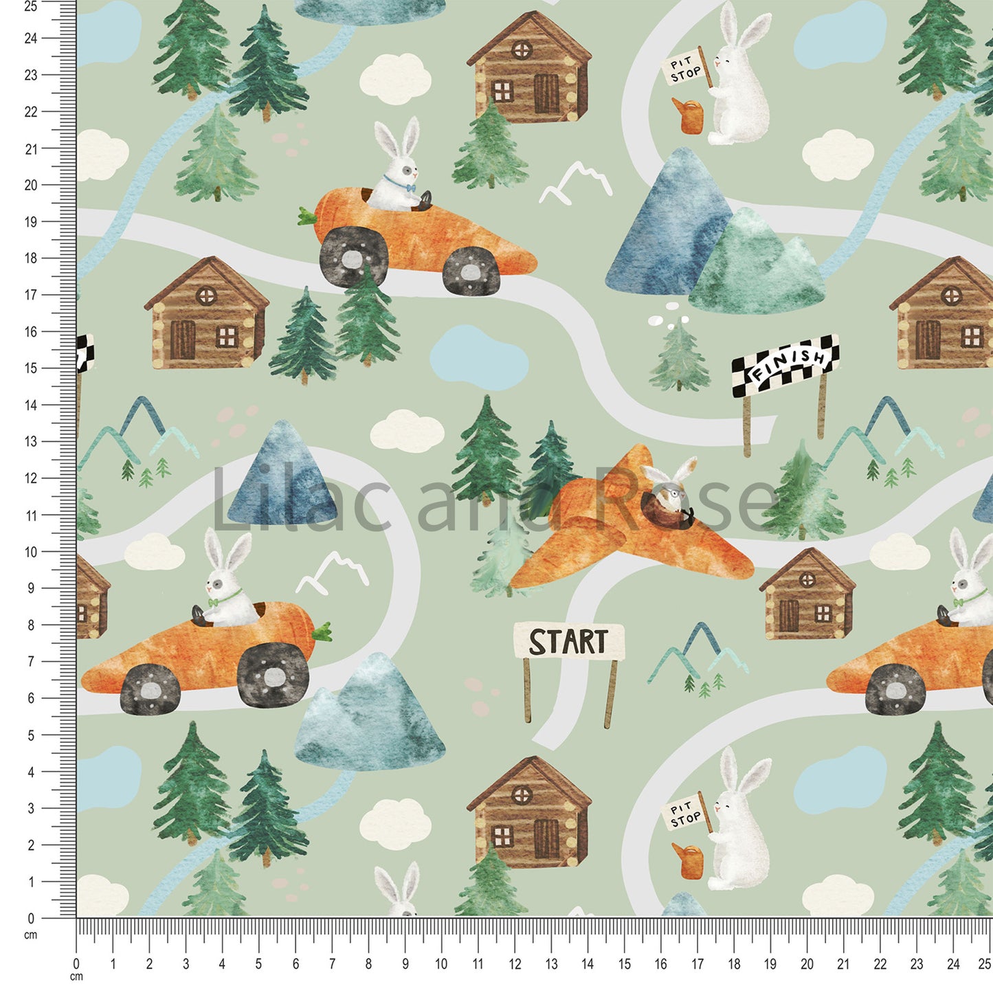 PRE-ORDER - Carrot Races - Sage
