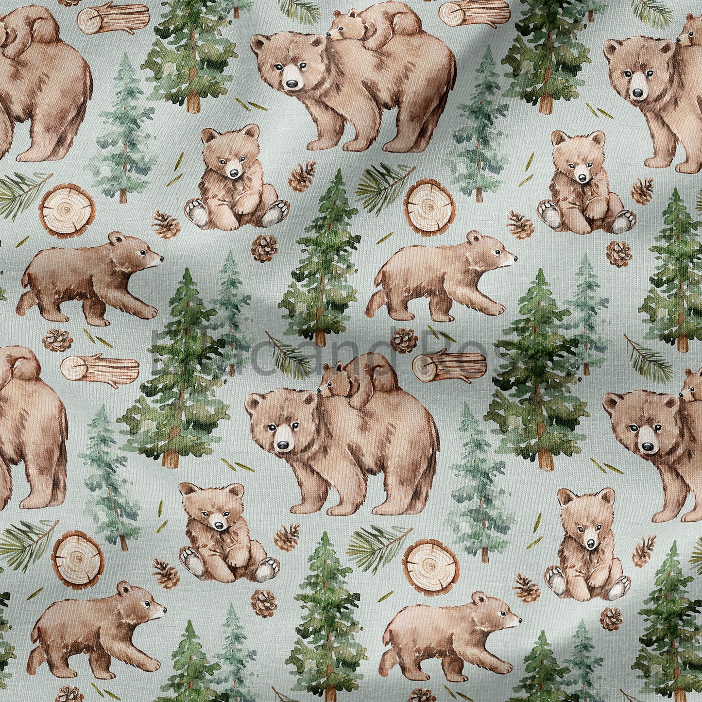 PRE-ORDER - Bear Cubs in Mint (Exclusive)