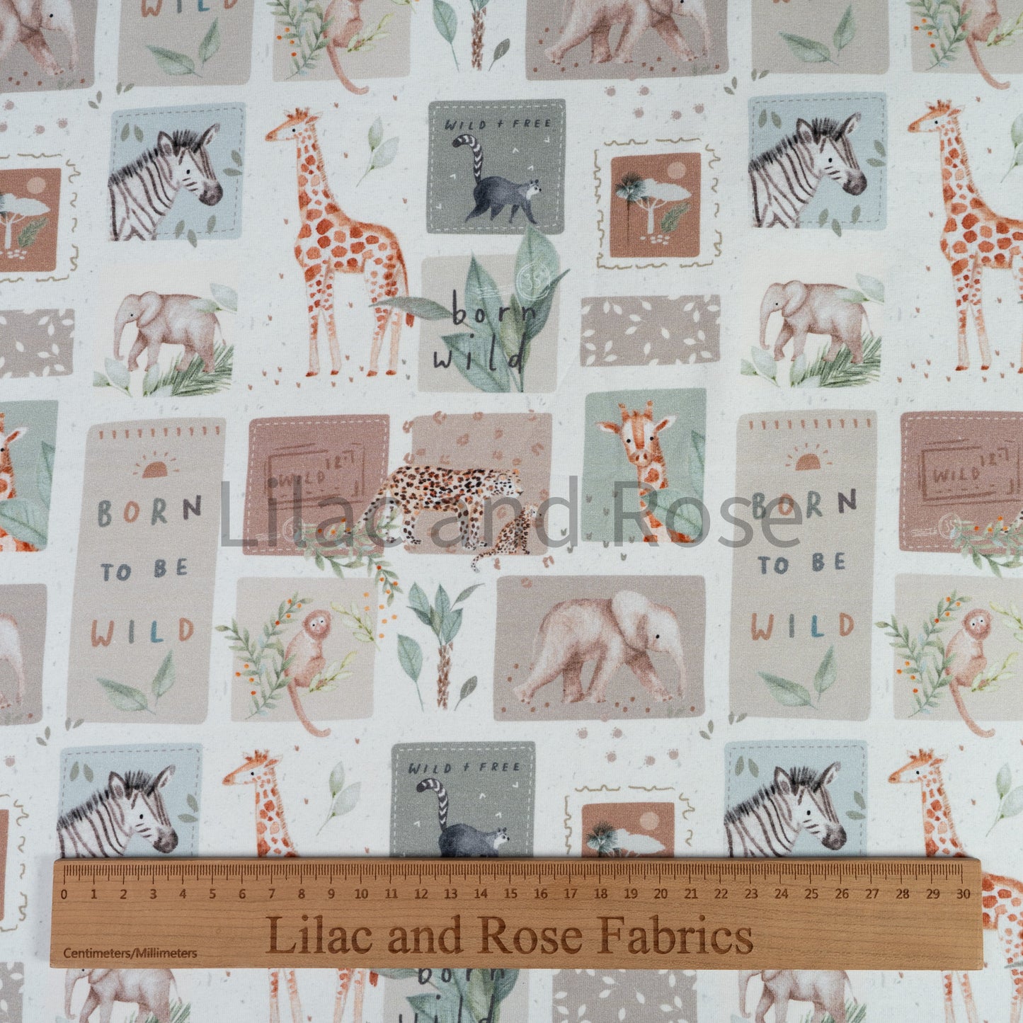 Cotton Jersey - Free in Ecru