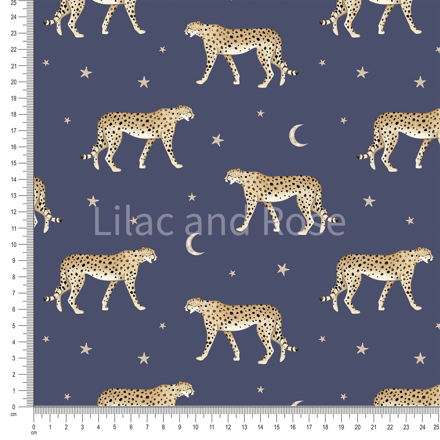 PRE-ORDER - Cheetahs - Navy