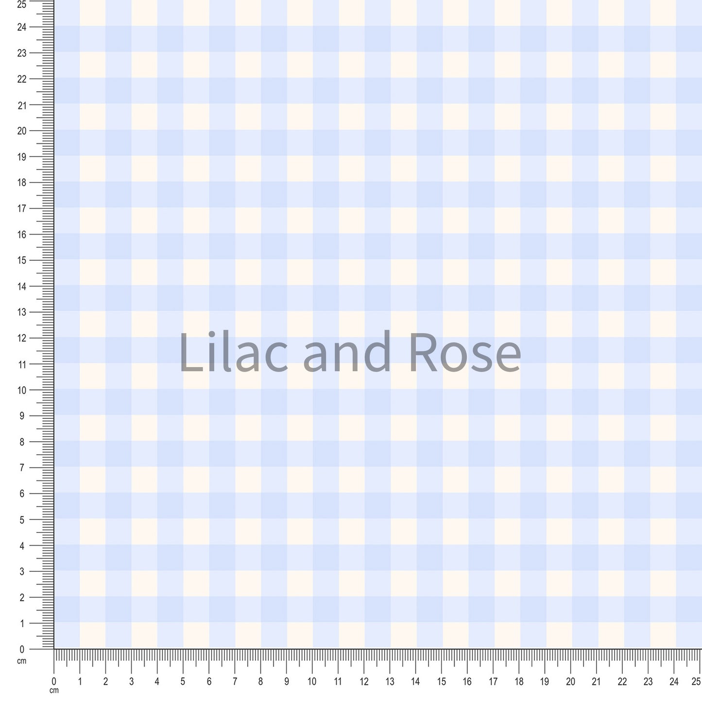 PRE-ORDER - Wheels Combi - Blue Gingham