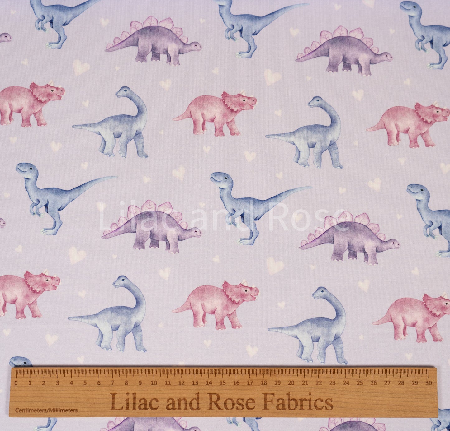 Cotton Jersey 240gsm - Baby Dinos in Hearts