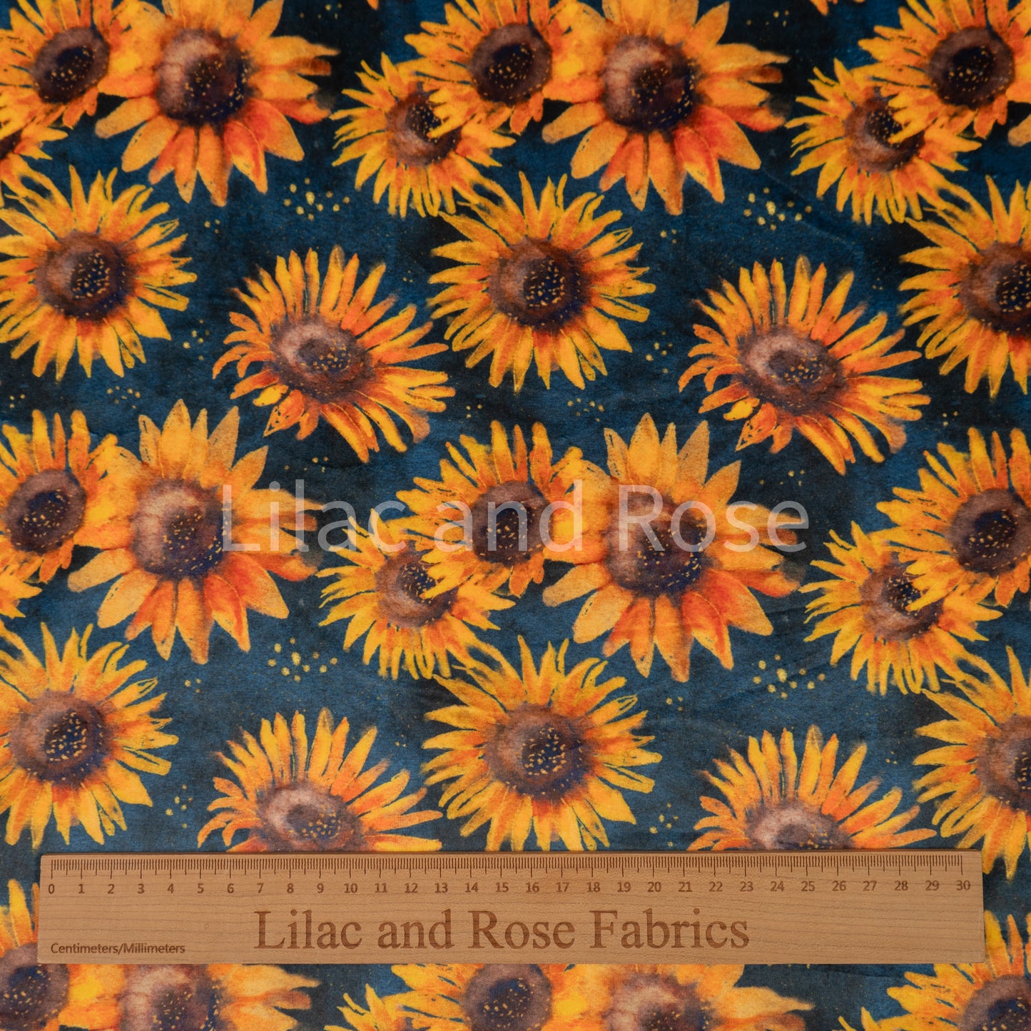Squish - Sunflowers on Navy