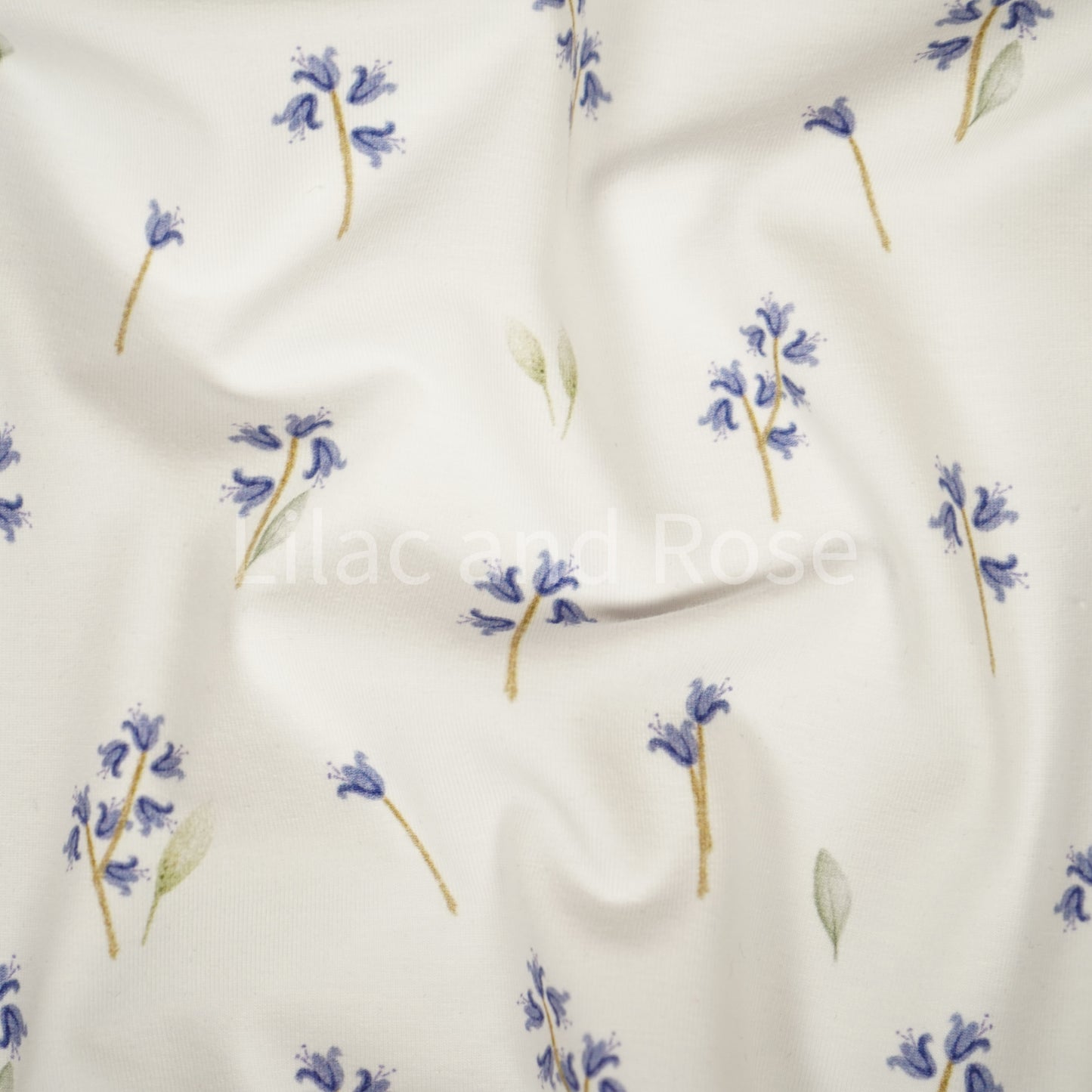 Cotton Jersey 240gsm - Bluebells in White