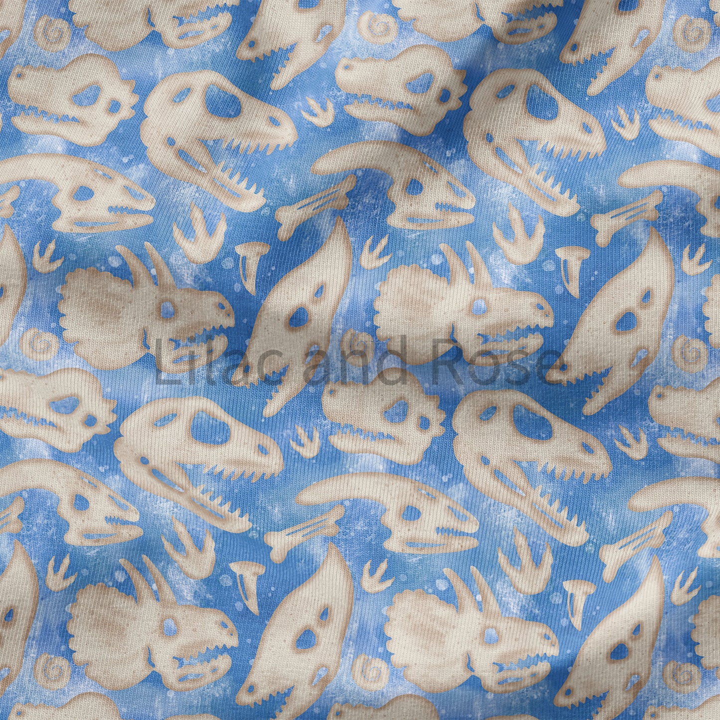 PRE-ORDER - Dino Fossils - Blue (Exclusive)