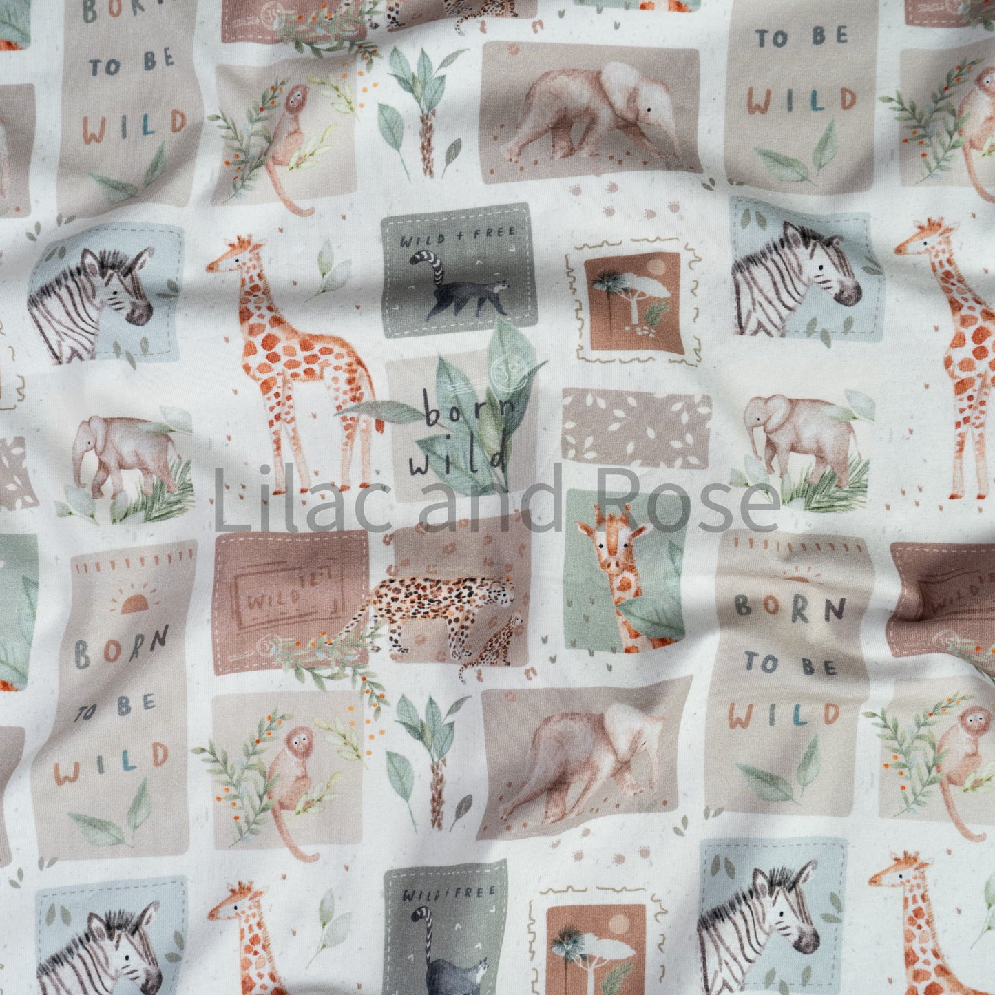 Cotton Jersey - Free in Ecru
