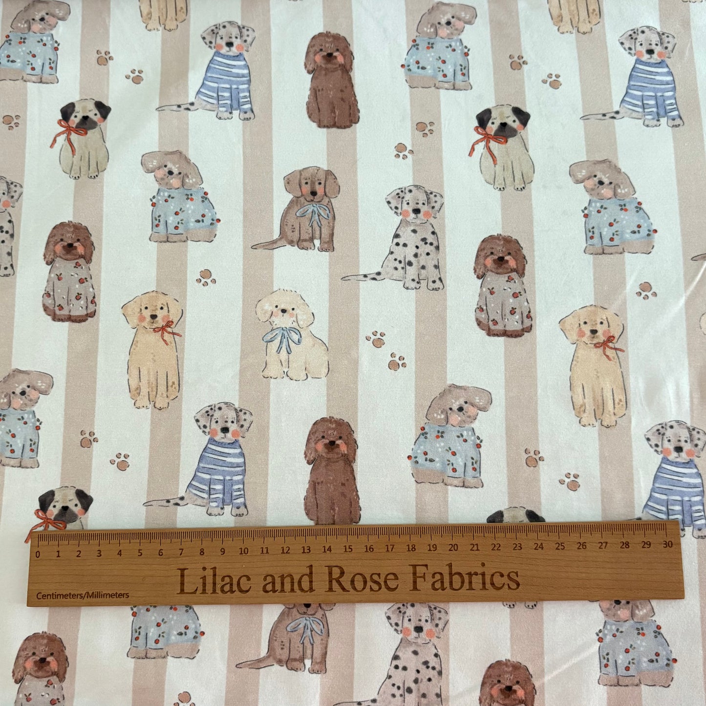 Cotton Jersey - Tails - Paper