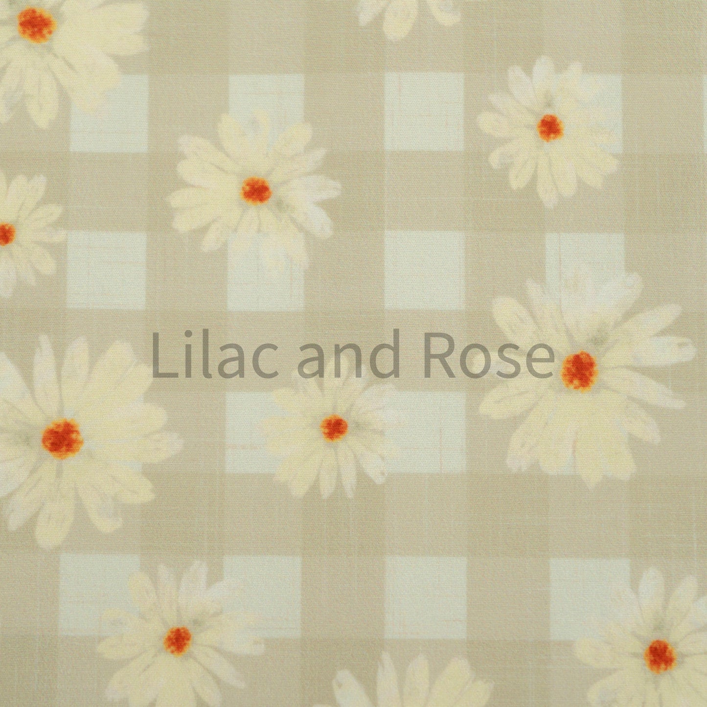 Softshell - Daisies Beige Gingham