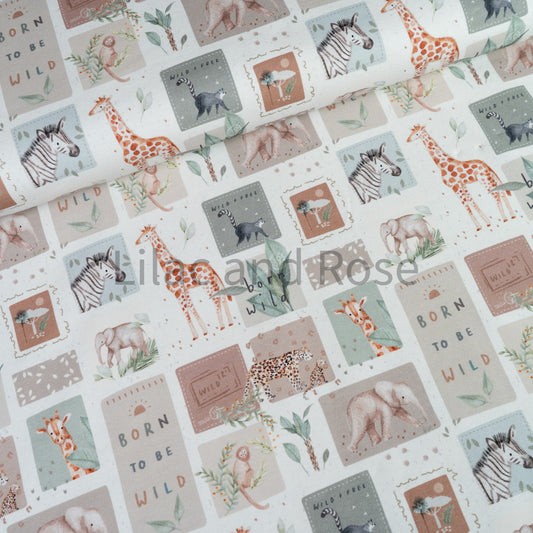 Cotton Jersey - Free in Ecru