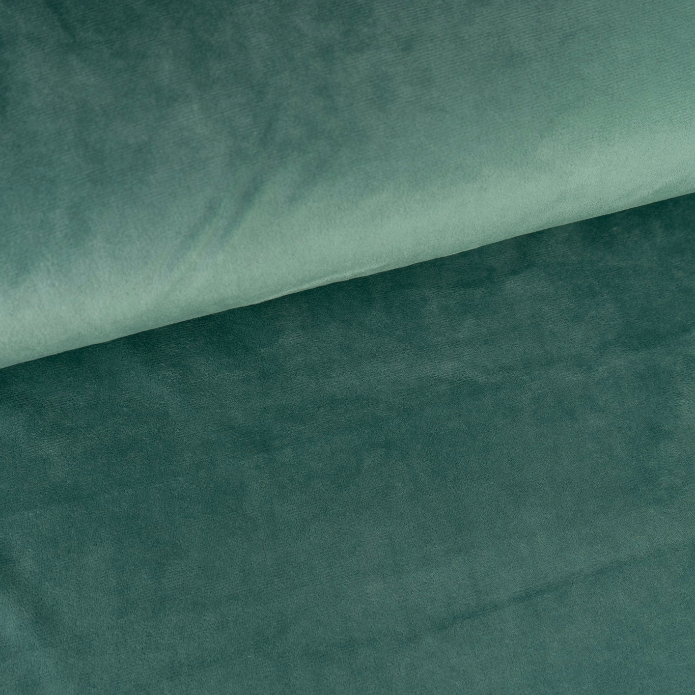 Single Sided Minky Fleece - Dusty Green