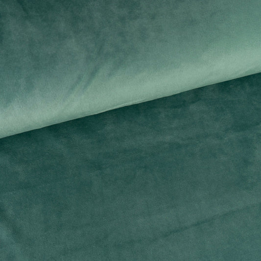 Single Sided Minky Fleece - Dusty Green