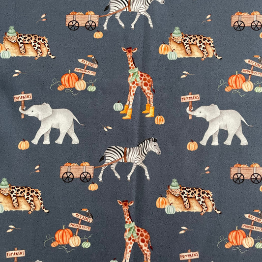 Remnant 39cm - Cotton Jersey - Pumpkin Patch in Oxford (Exclusive)