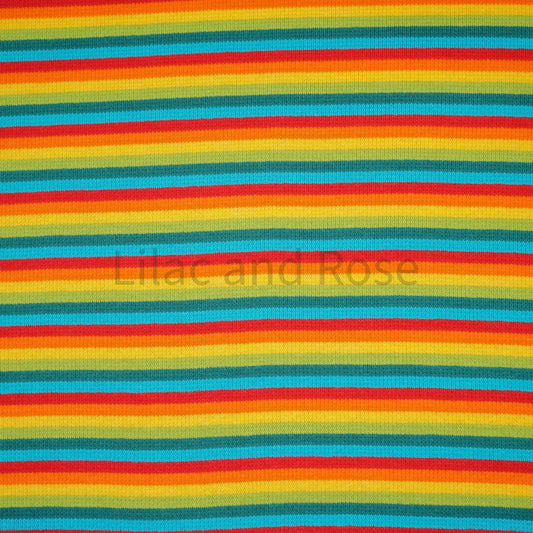 Ribbing - Rainbow Stripes