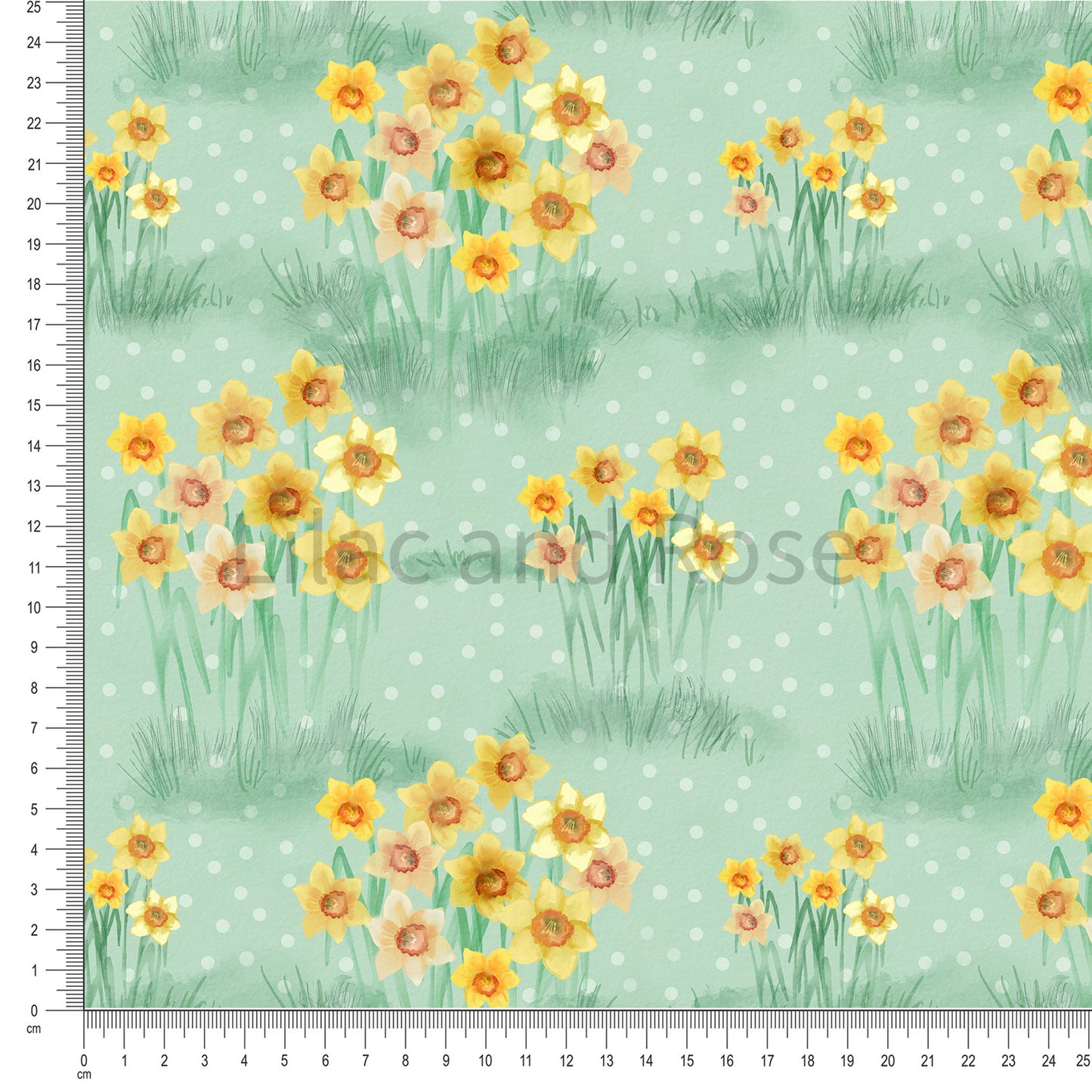 PRE-ORDER - Daffodils