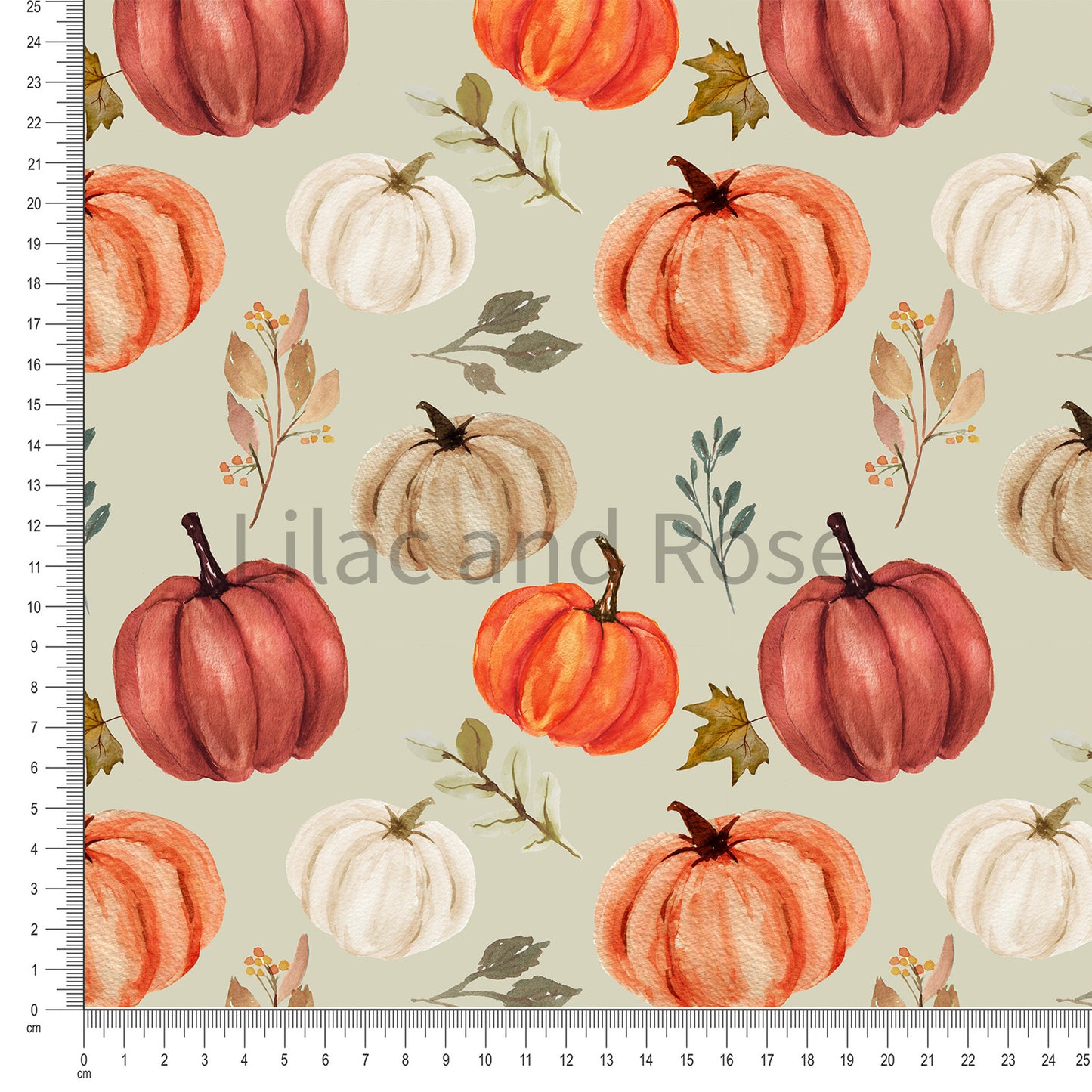 PRE-ORDER - Sage Pumpkins