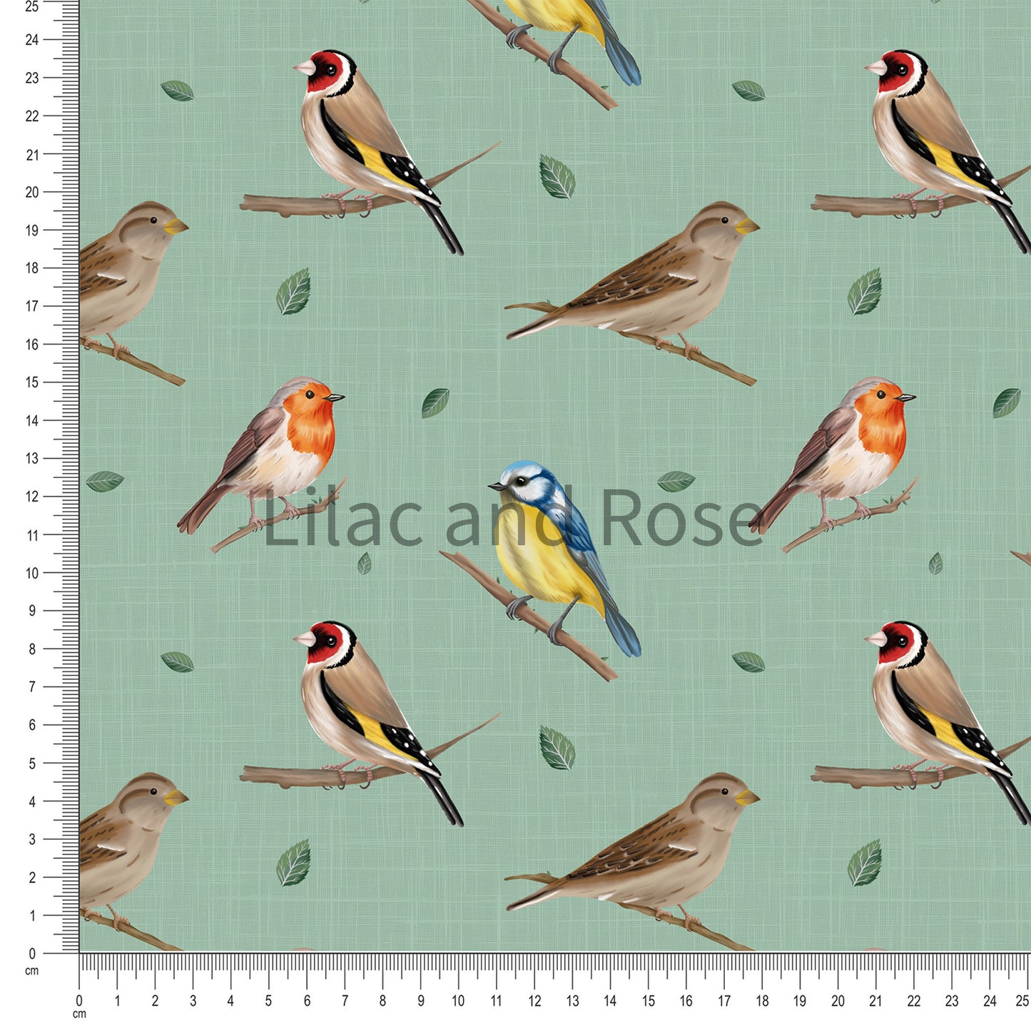 PRE-ORDER - Birds - Light Green