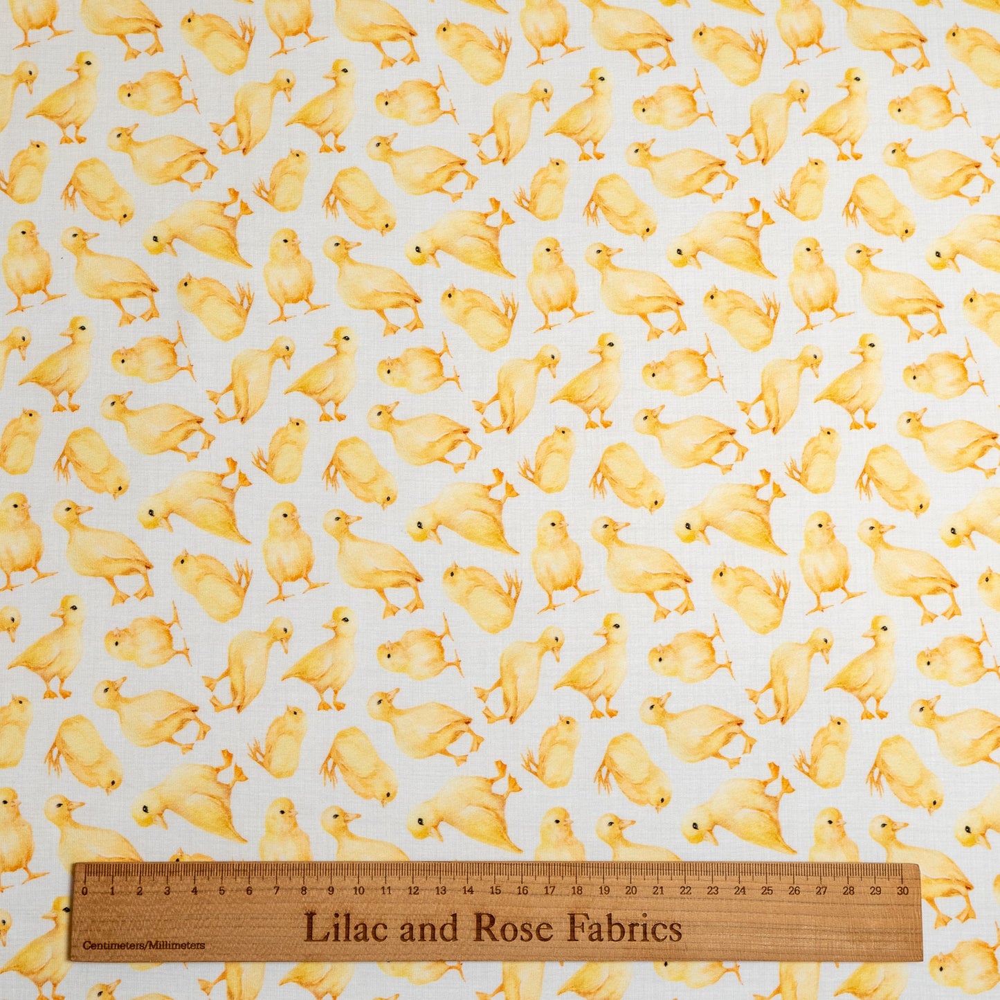Cotton Jersey - Ducklings