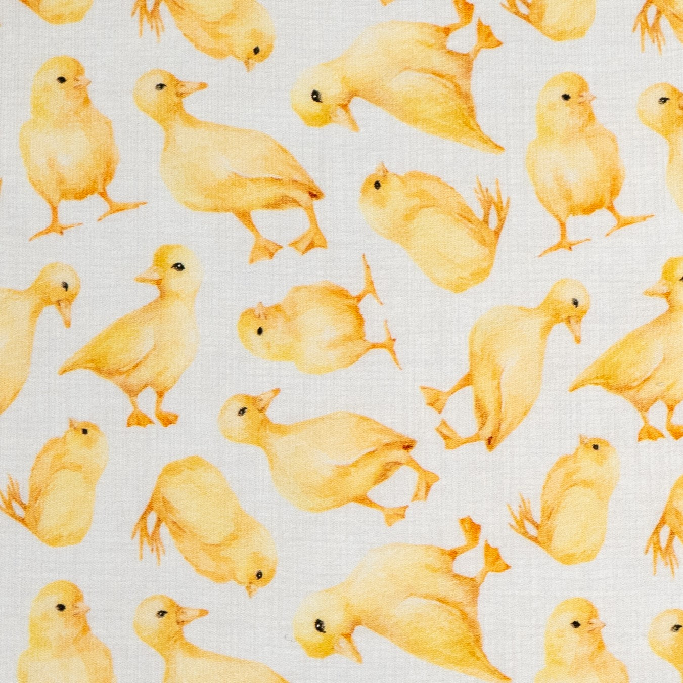 Cotton Jersey - Ducklings