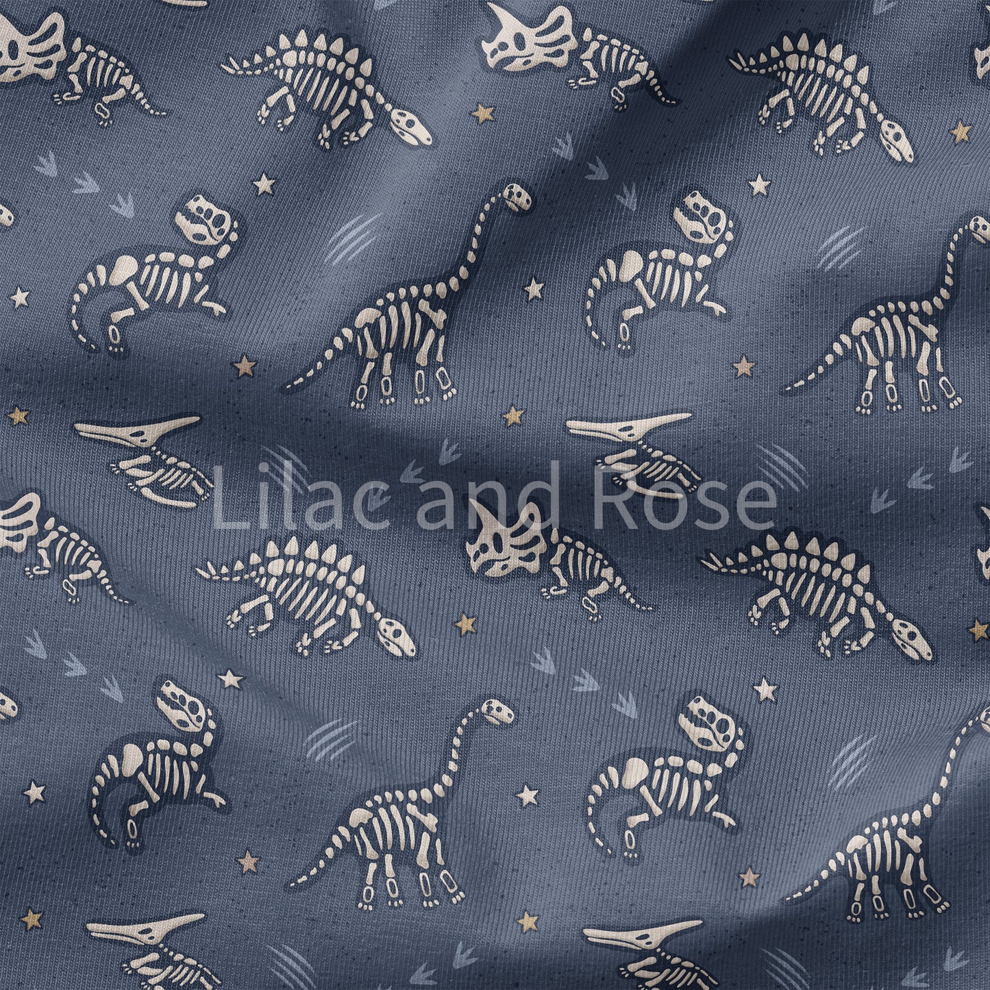 PRE-ORDER - Navy Dino Fossils (Exclusive)