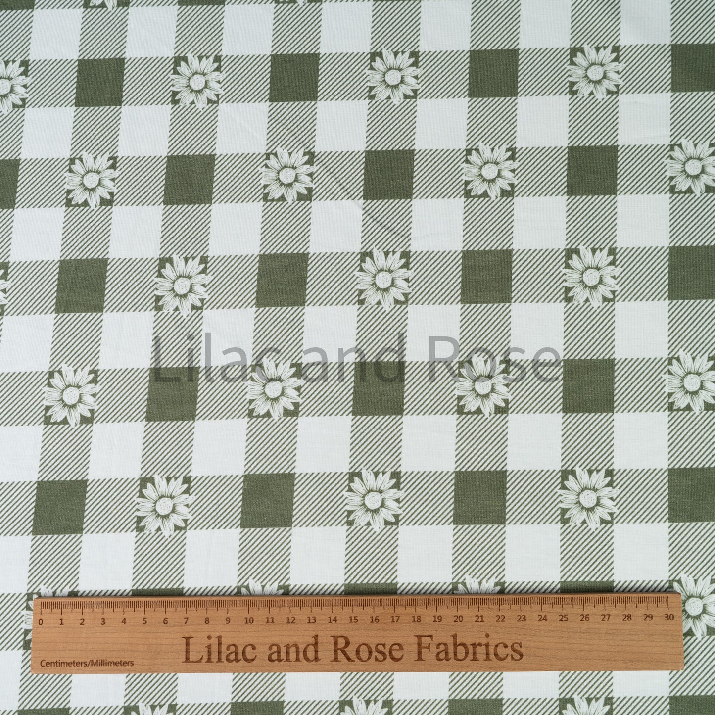 Cotton Jersey - Daisy Gingham Sage