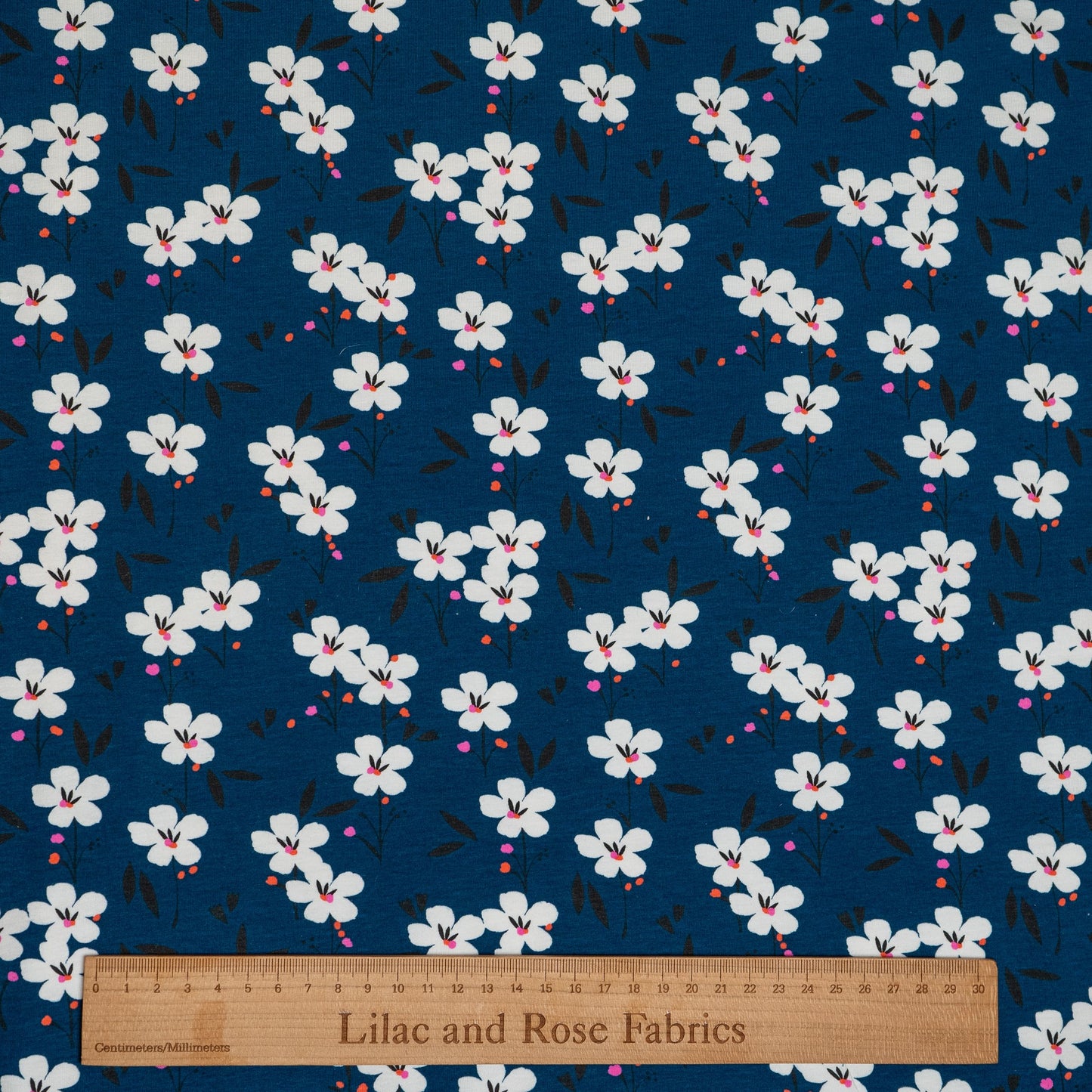 Cotton Jersey - Spring in Navy - Dashwood Studios