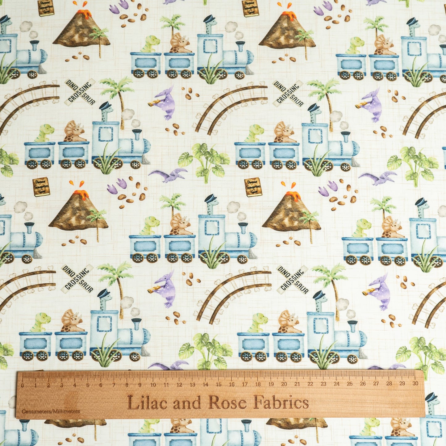 Cotton Jersey - Dinosaur Train