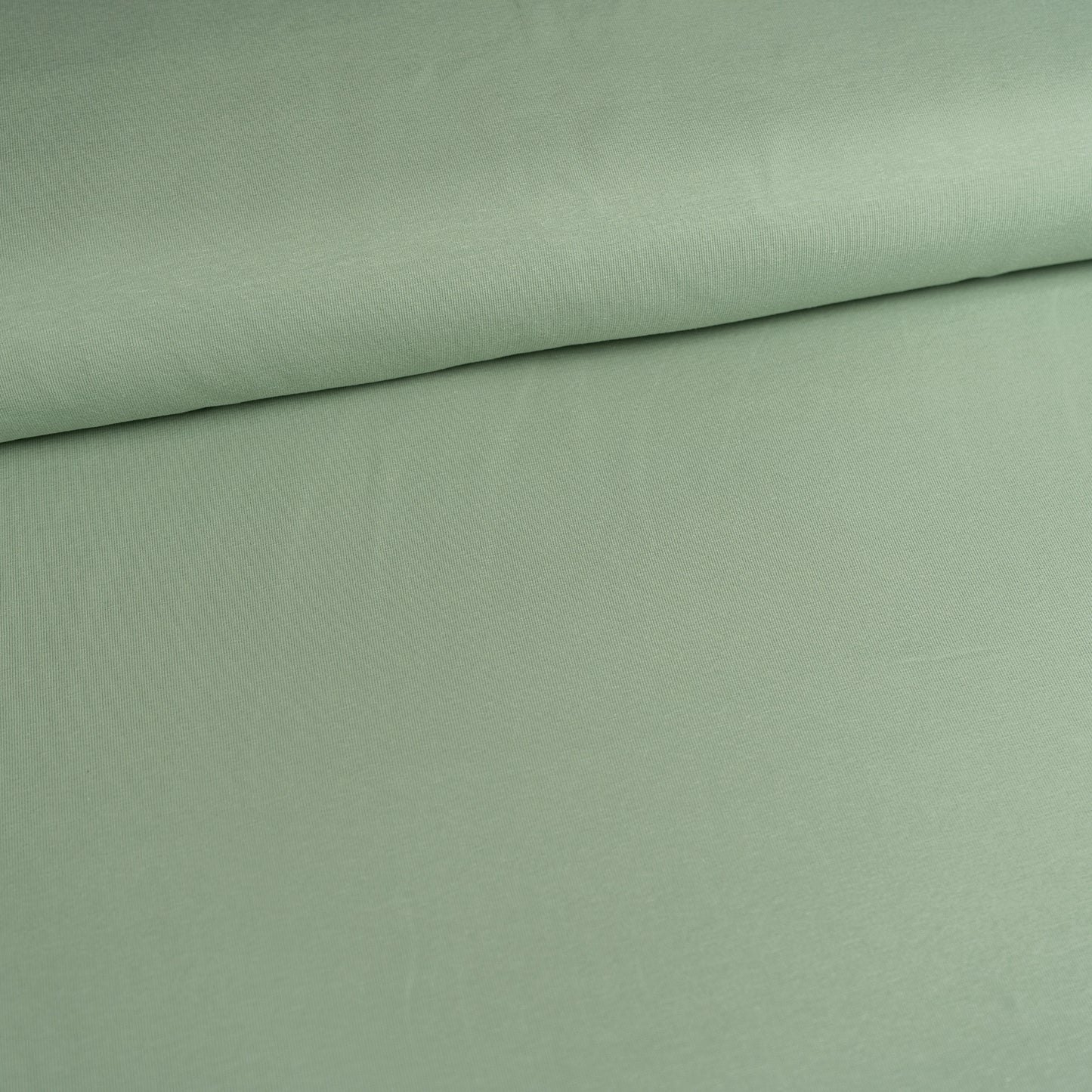 Plain Cotton Jersey - Sage Green
