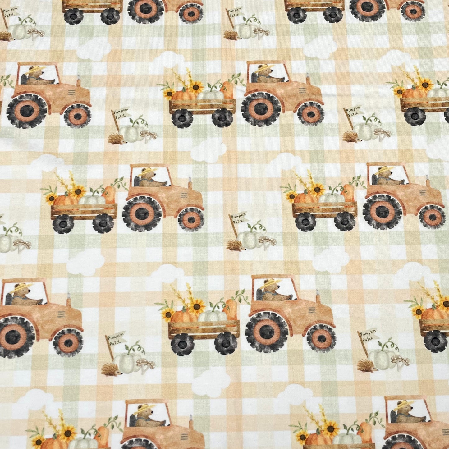 Remnant 51cm - Cotton Jersey - Pumpkin Patch (Exclusive)