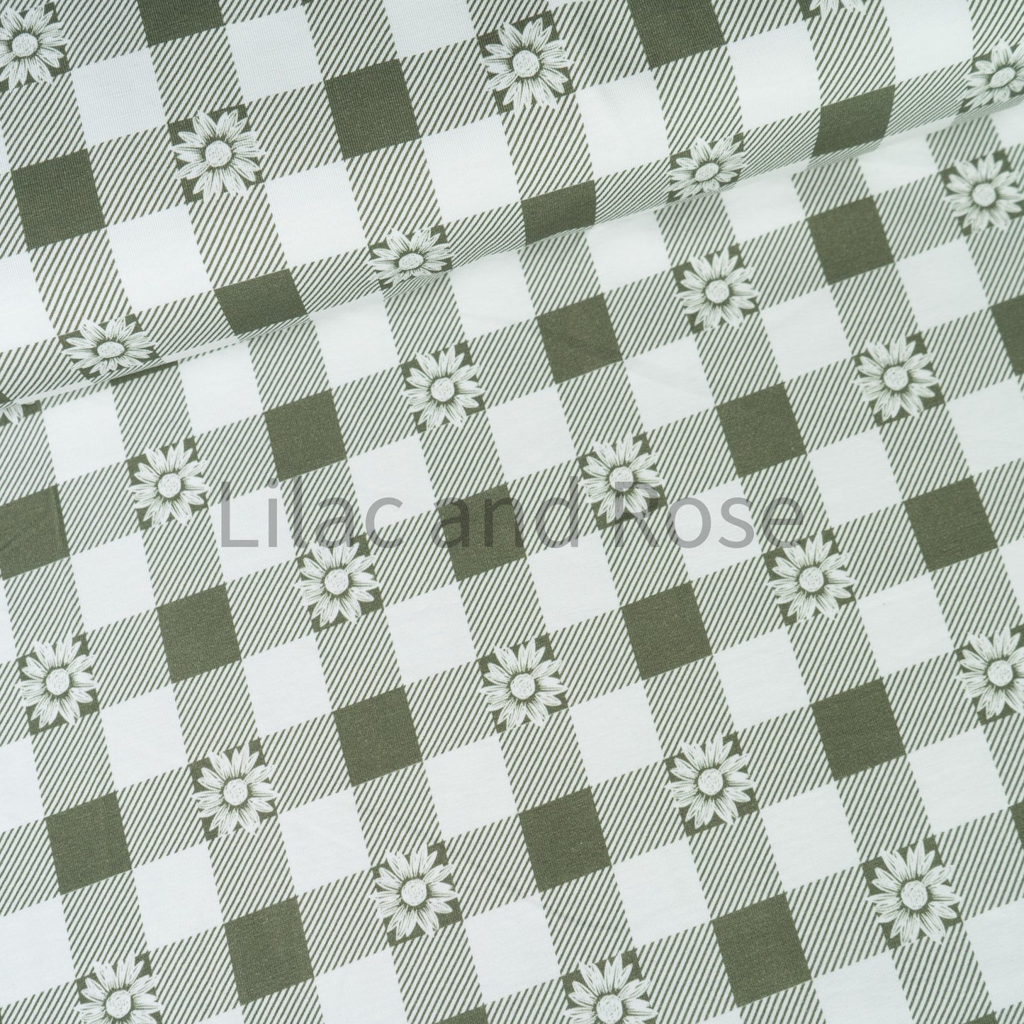 Cotton Jersey - Daisy Gingham Sage