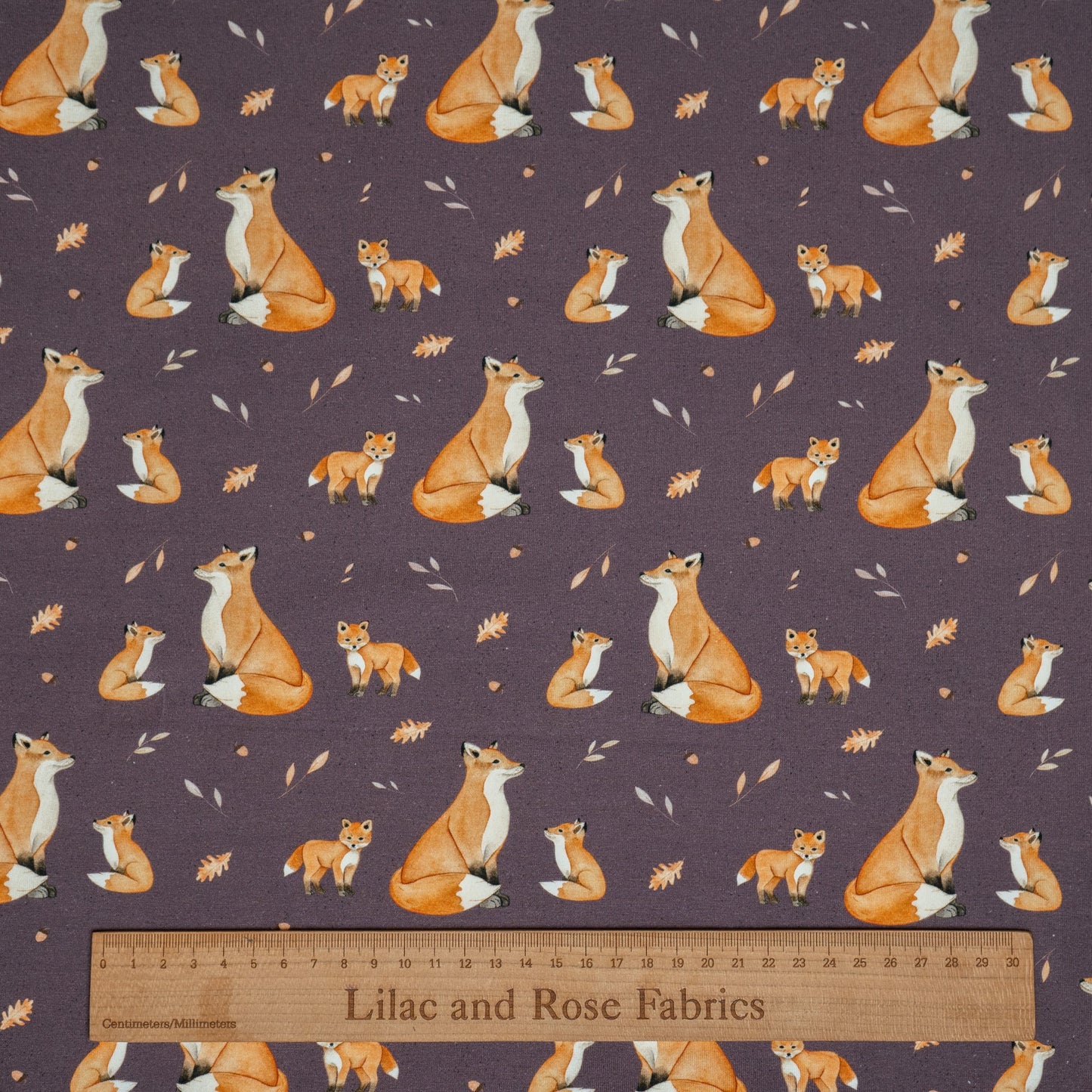 Cotton Jersey - Foraging Foxes in Plum (Exclusive)