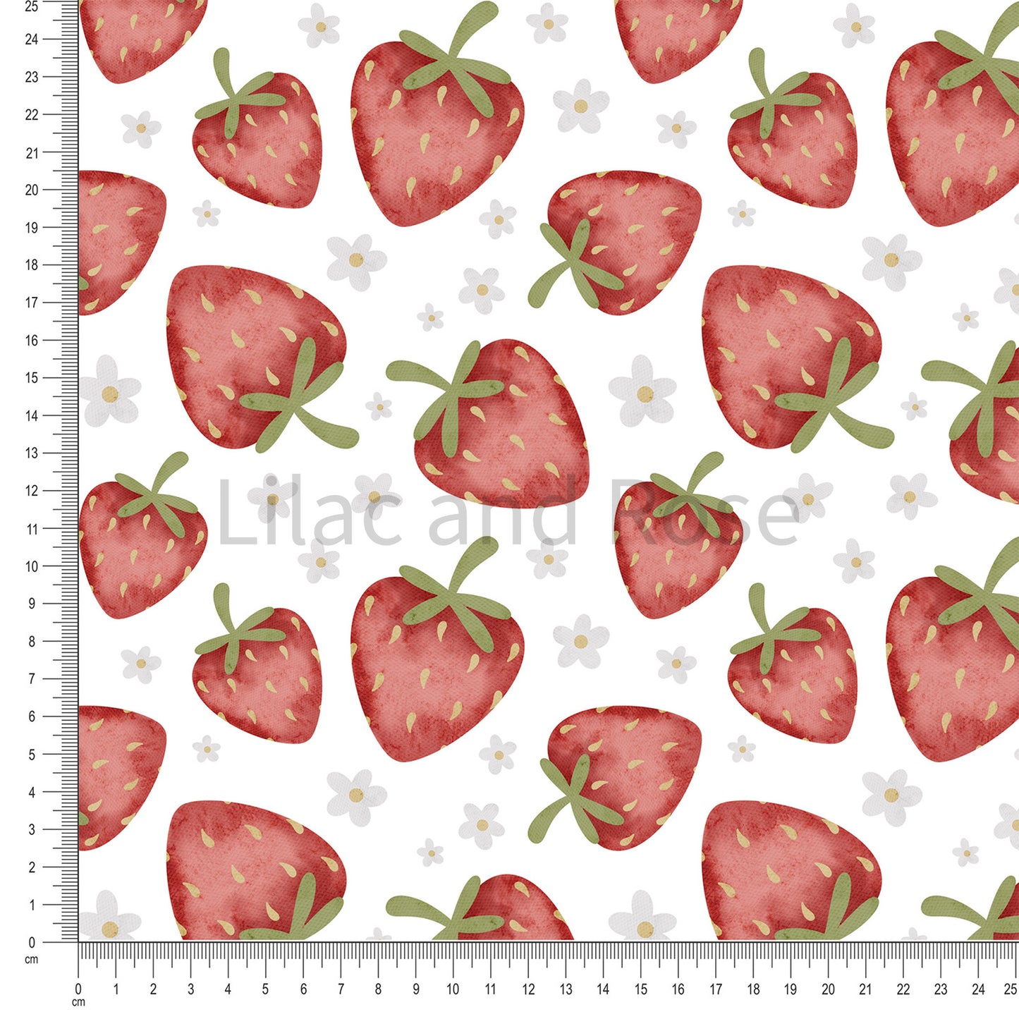 PRE-ORDER - Strawberries (Exclusive)