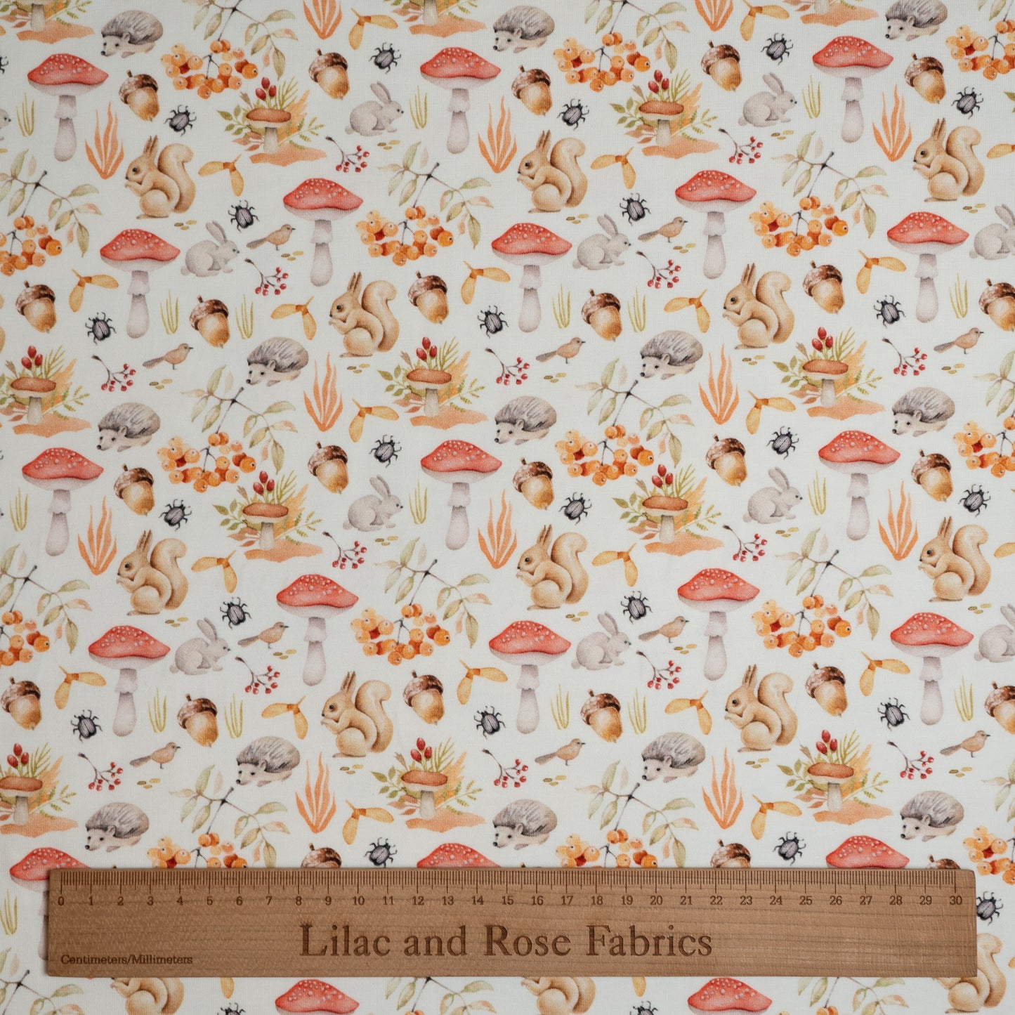 Cotton Jersey 240gsm - Woodland Animals