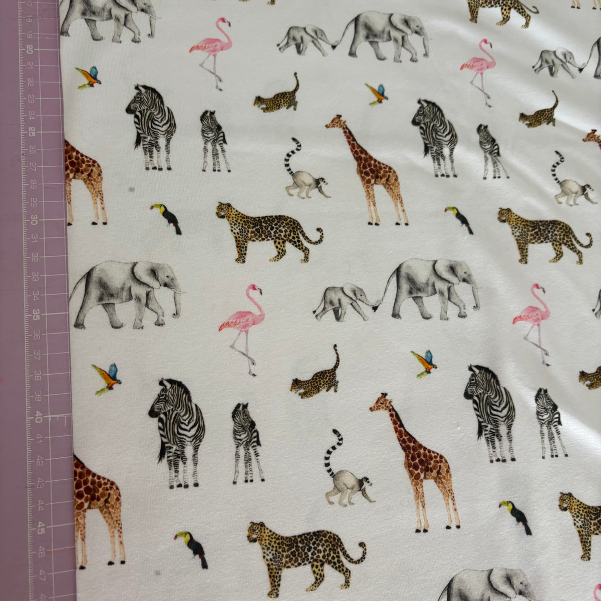 Remnant 1m - Organic Cotton Jersey - Safari Adventure