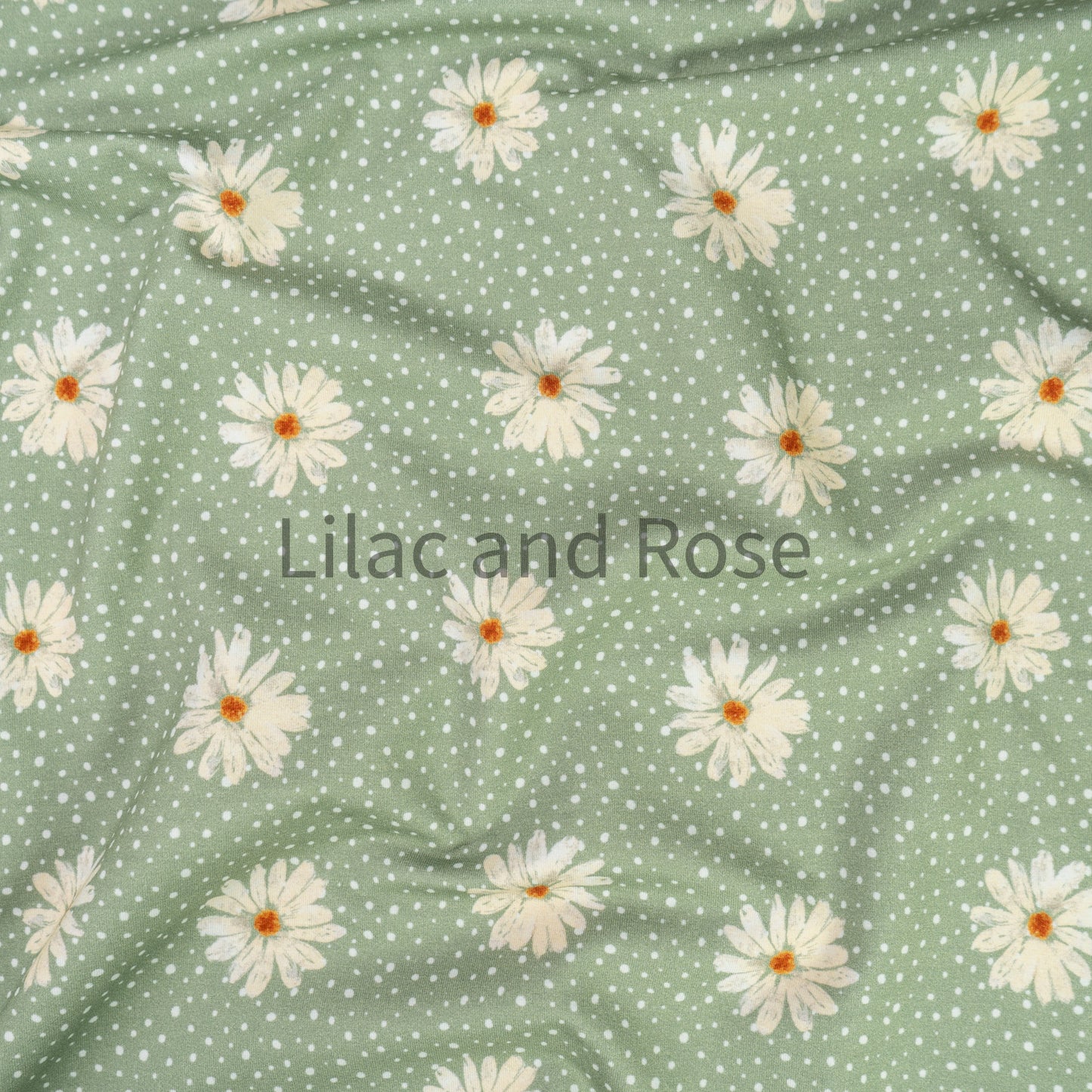 Cotton Jersey - Daisies - Sage