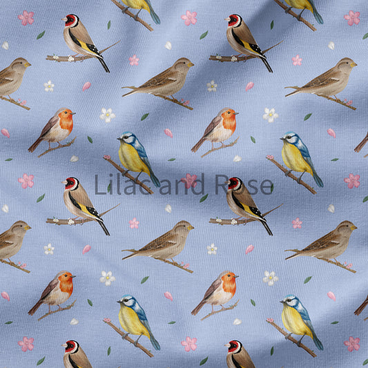 PRE-ORDER - Birds - Pastel Blue