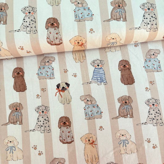 Cotton Jersey - Tails - Paper