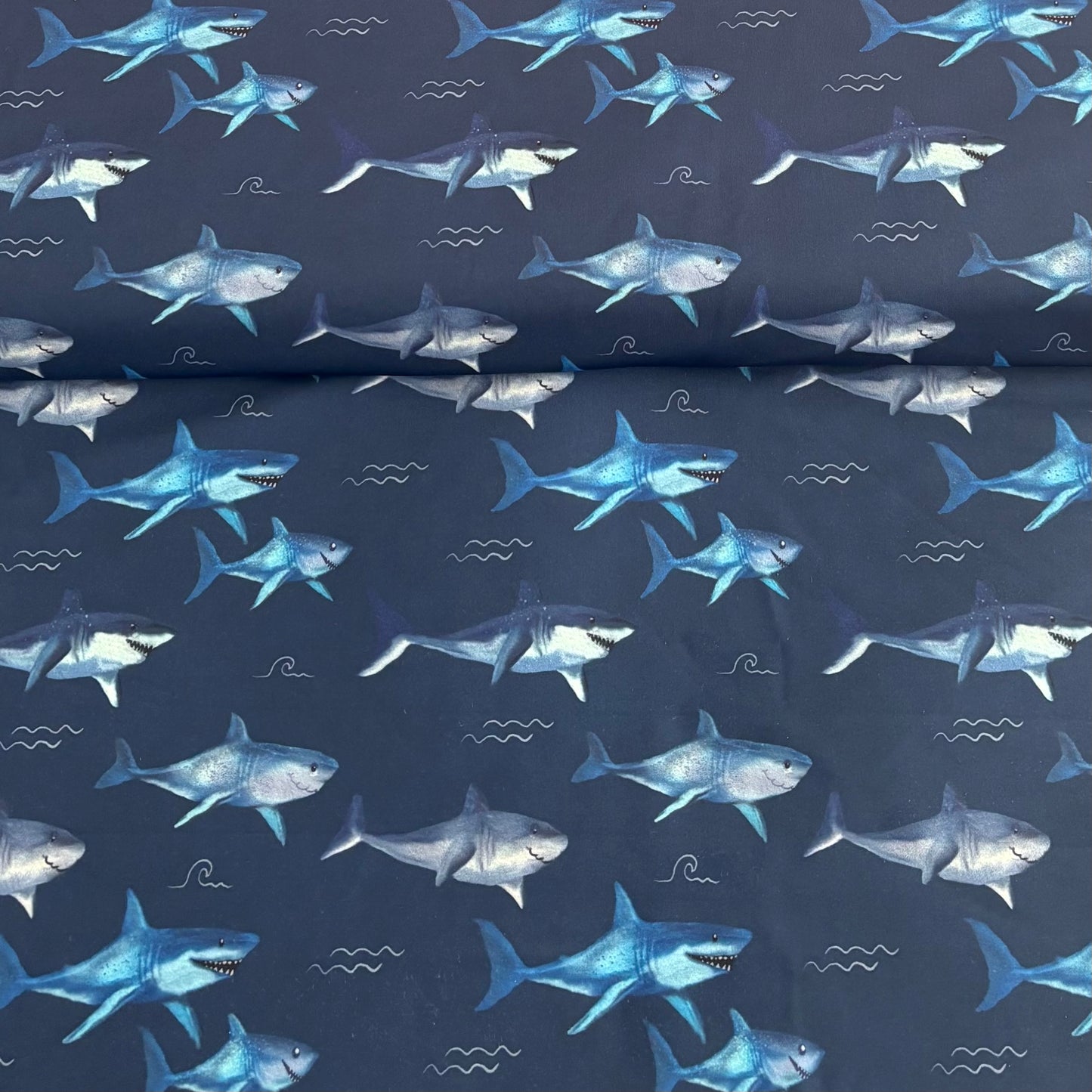 Swim - Sharks on Navy
