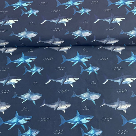 Swim - Sharks on Navy