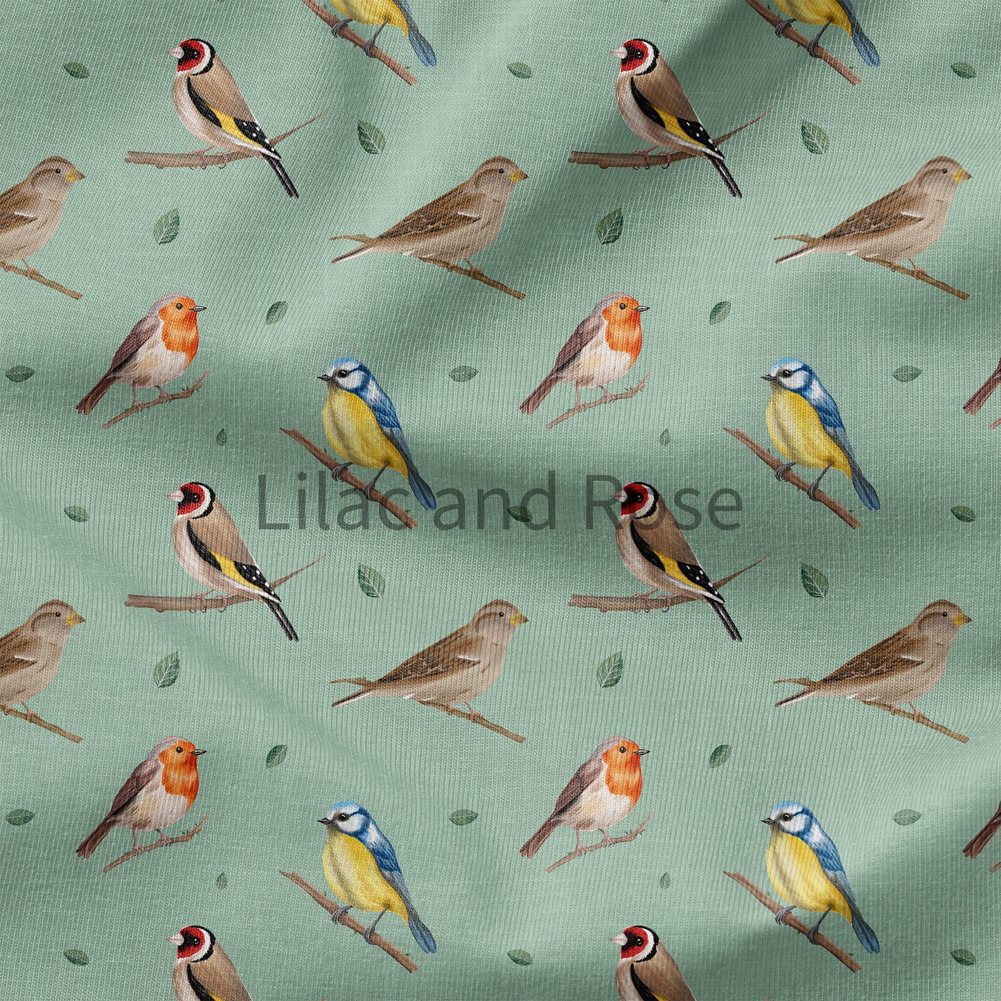 PRE-ORDER - Birds - Light Green