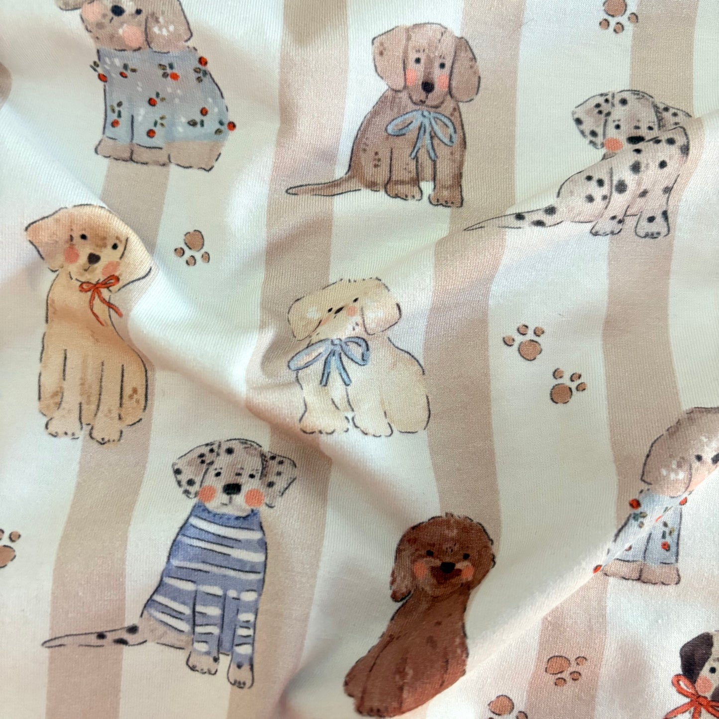 Cotton Jersey - Tails - Paper