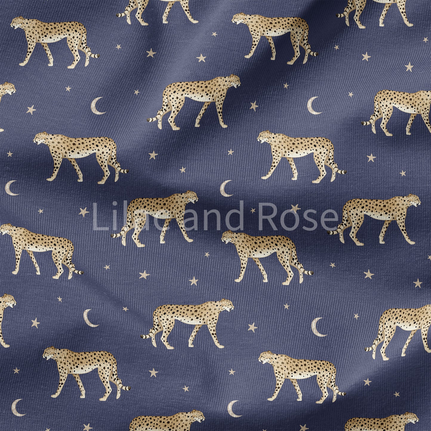 PRE-ORDER - Cheetahs - Navy