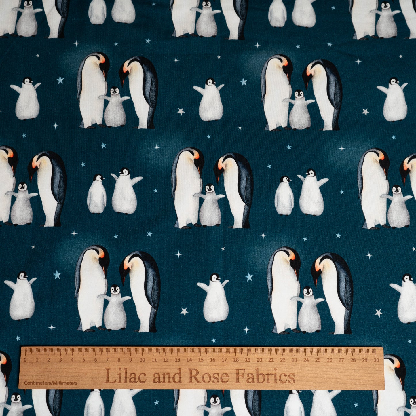 Organic Cotton Jersey 240gsm- Penguin Party on Peacock (Exclusive)