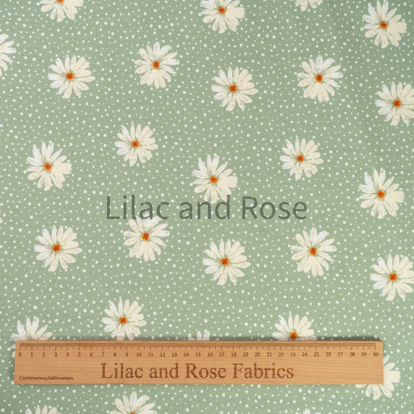 Cotton Jersey - Daisies - Sage