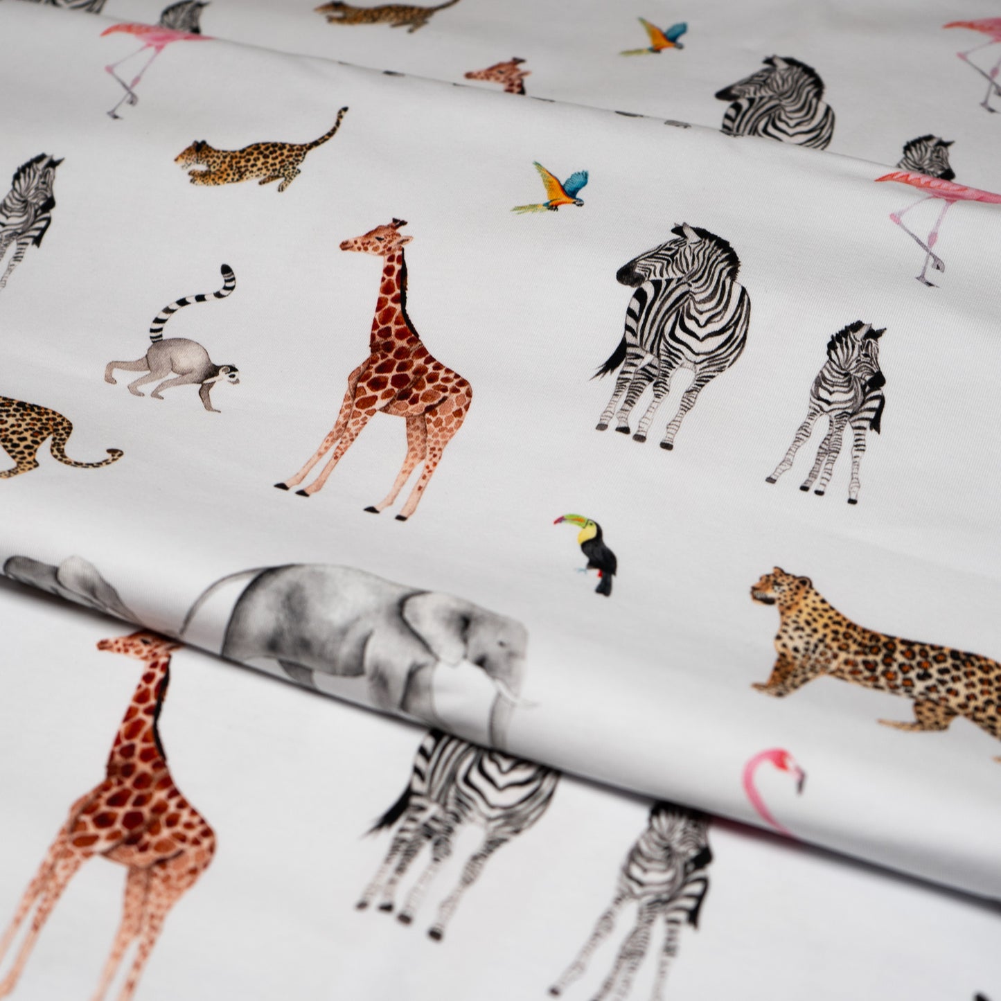 Cotton Jersey 240gsm - Safari Adventure in White