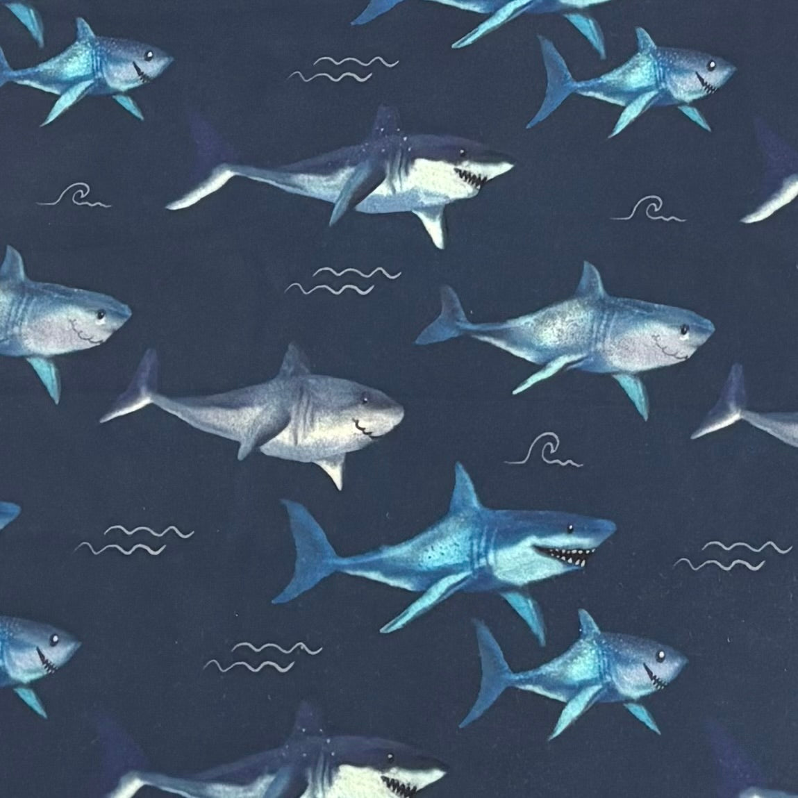 Swim - Sharks on Navy